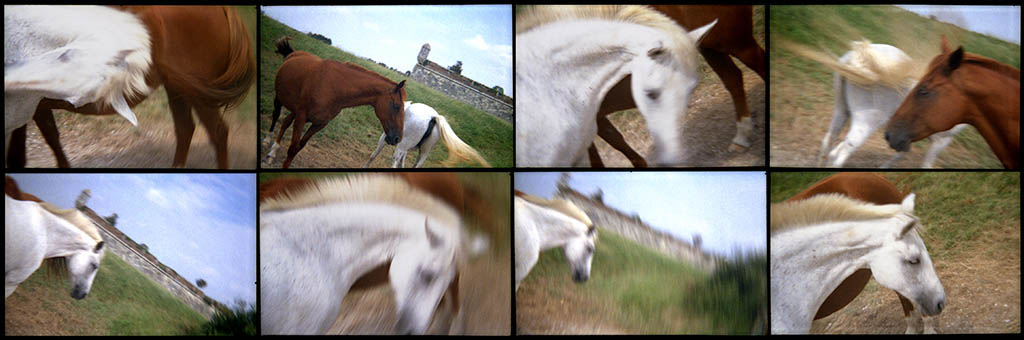 toy's camera série cinéphoto 01