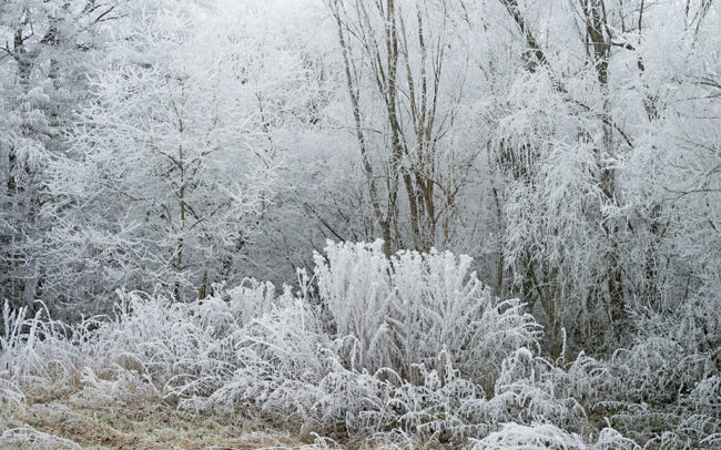 paysage d'hiver givre 12