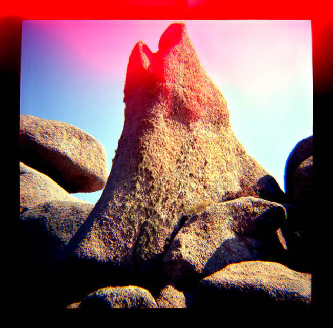 toy's camera jojaflex bretagne ploumanach 03