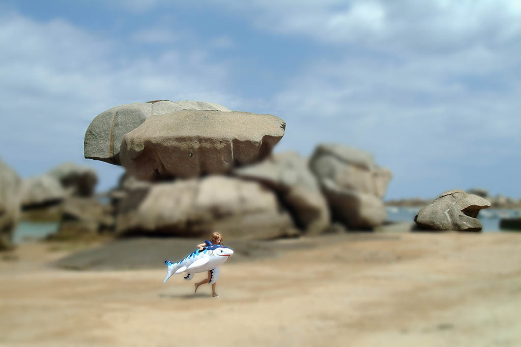 parcelles prix arcimboldo 2005 01