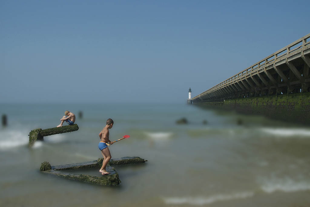 parcelles prix arcimboldo 2005 03