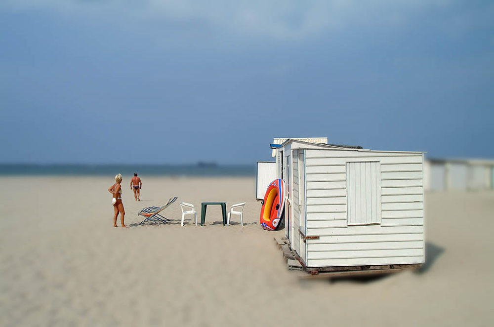 parcelles prix arcimboldo 2005 05