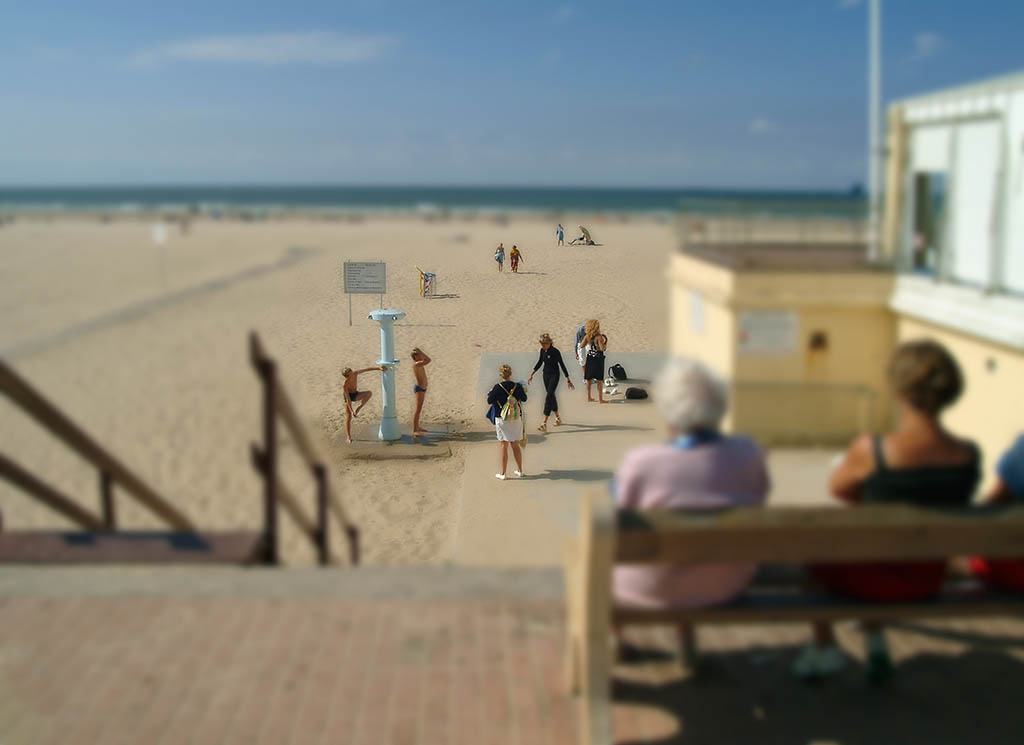 parcelles prix arcimboldo 2005 06