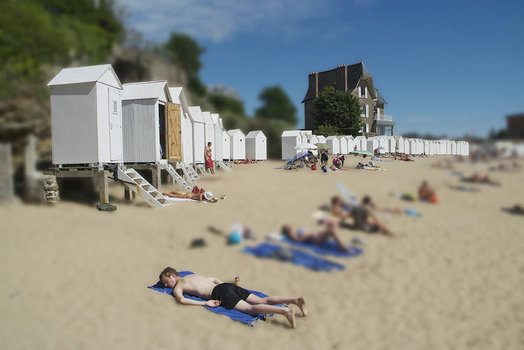 parcelles prix arcimboldo 2005 07