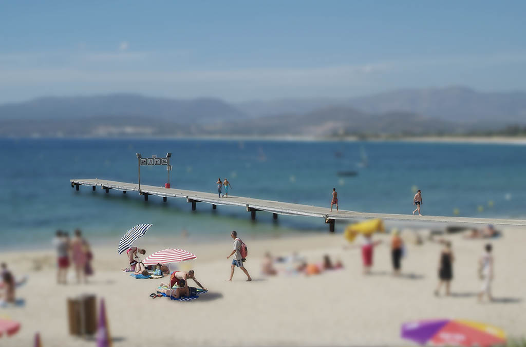 parcelles prix arcimboldo 2005 08