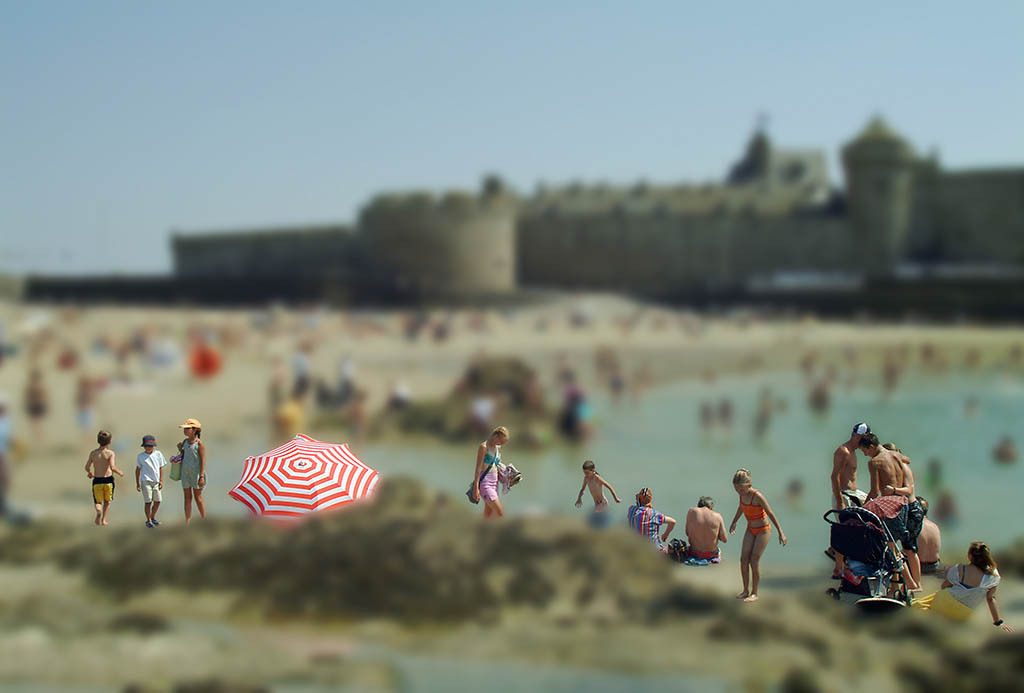 parcelles prix arcimboldo 2005 10