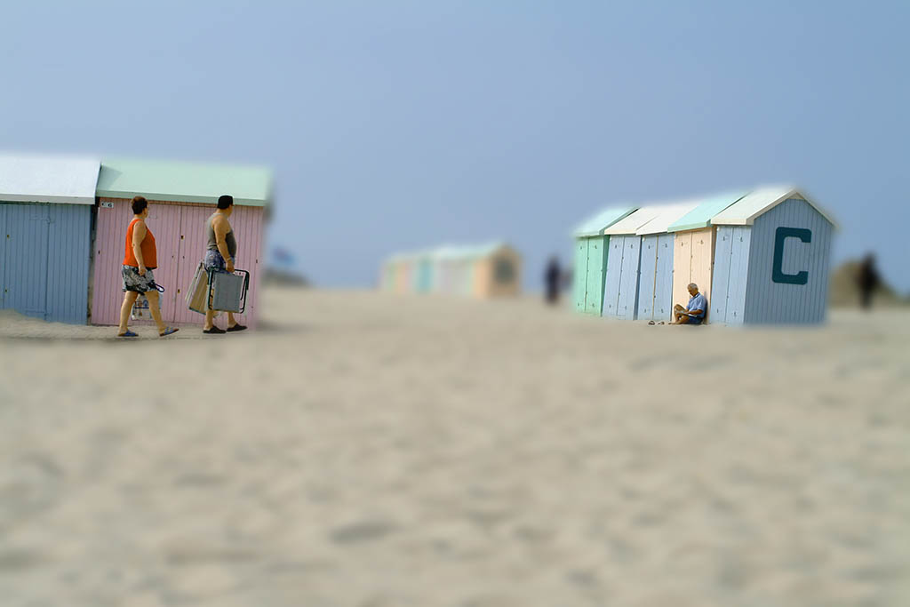 parcelles prix arcimboldo 2005 11