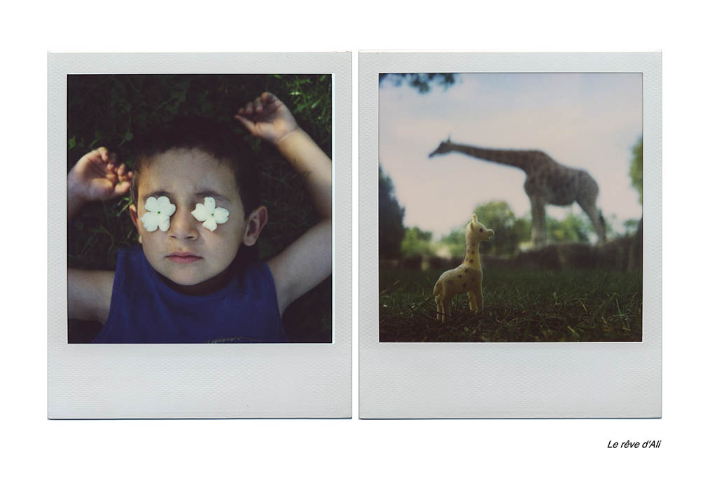 le rêve d'ali