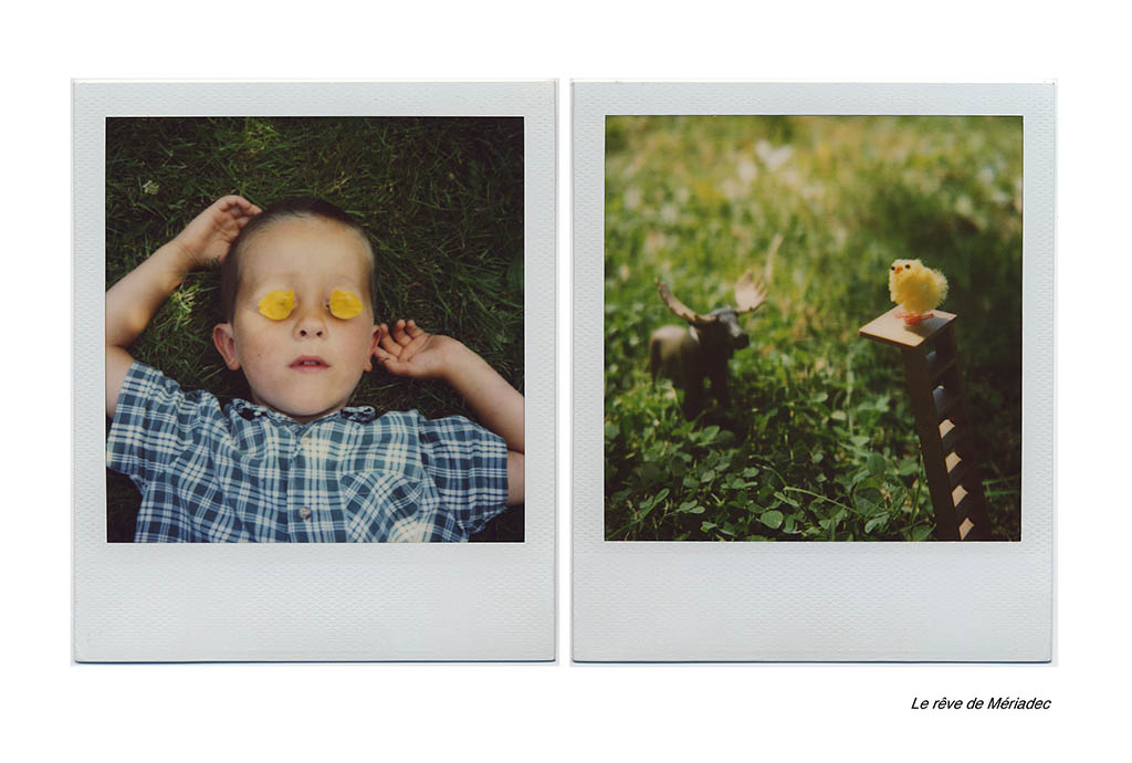 le rêve de mériadec